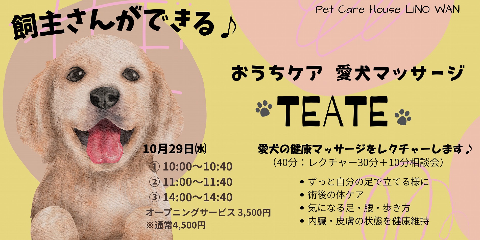 DOG整体（愛犬マッサージ）TEATE
